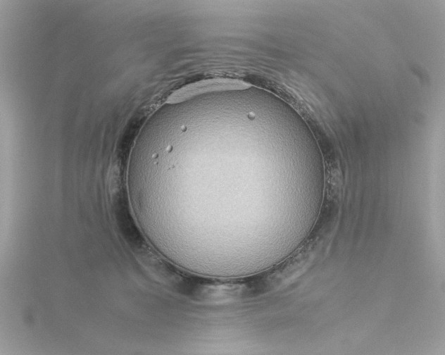 X0000116060323200912041859