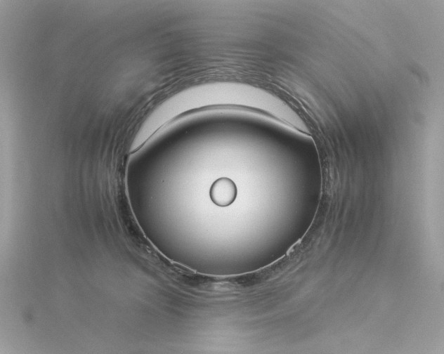 X0000116060324200912041859