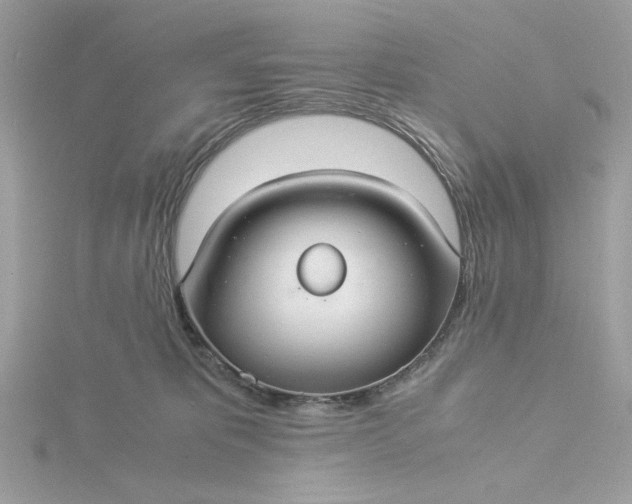 X0000116060325200912041859