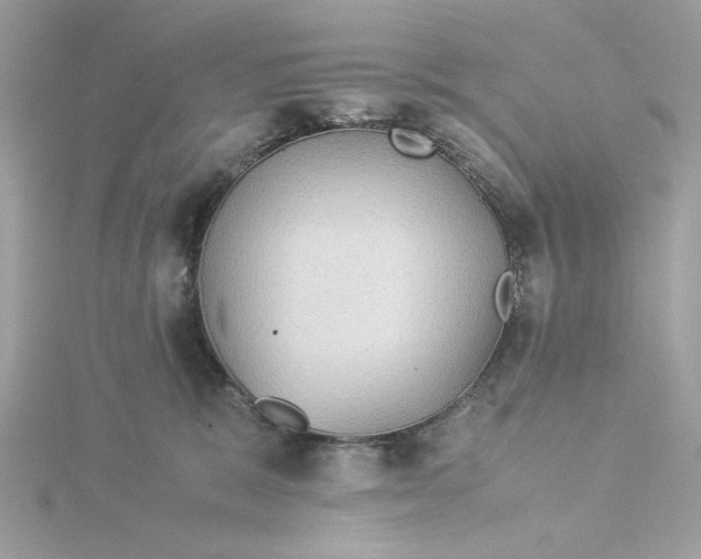 X0000116060327200912041859