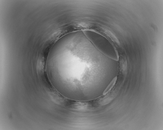 X0000116060328200912041859