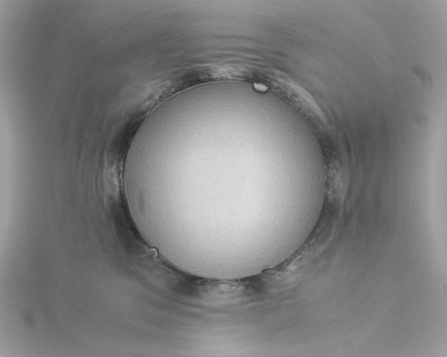 X0000116060329200912041859