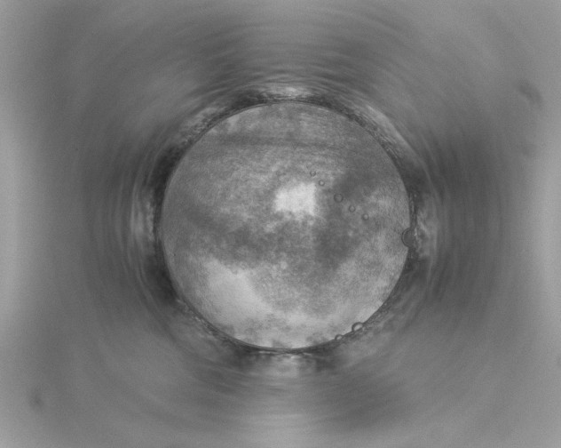 X0000116060330200912041859