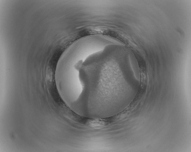 X0000116060331200912041859