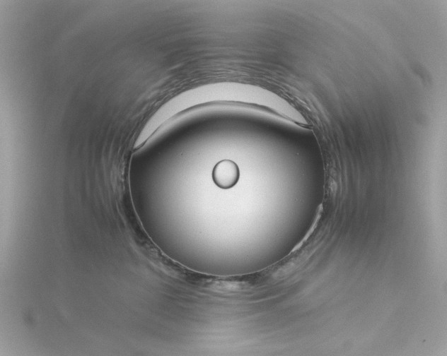 X0000116060332200912041859