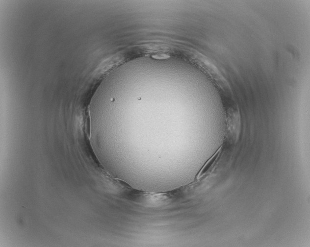 X0000116060333200912041859