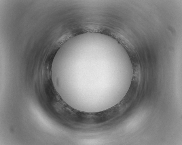 X0000116060334200912041859