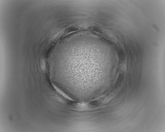 X0000116060335200912041859