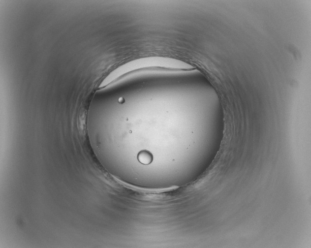 X0000116060336200912041859