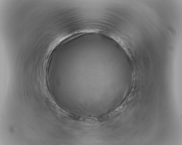 X0000116060337200912041858