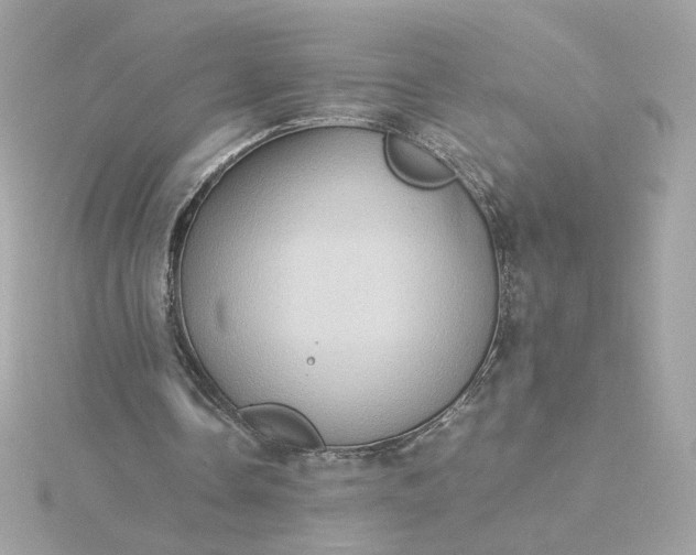 X0000116060338200912041858