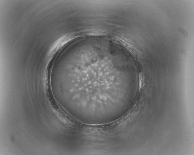 X0000116060339200912041858