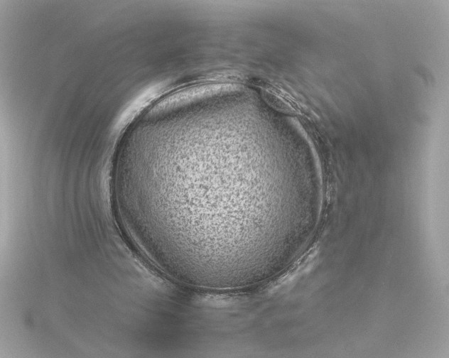 X0000116060341200912041858