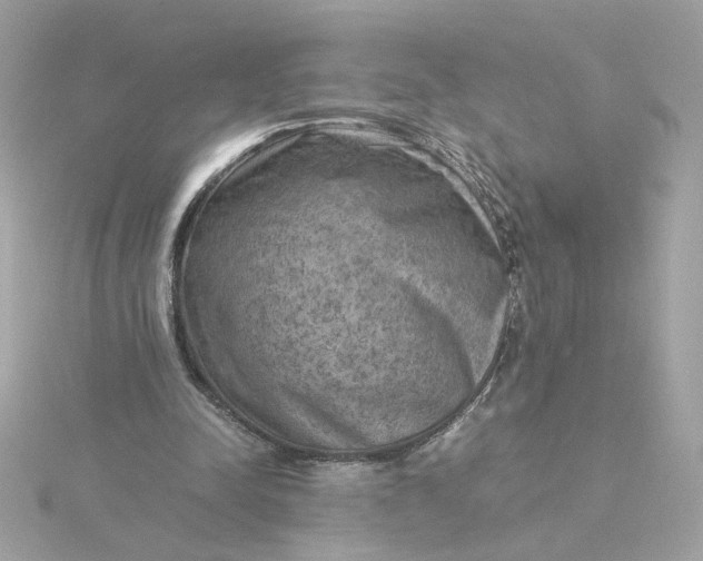 X0000116060342200912041858