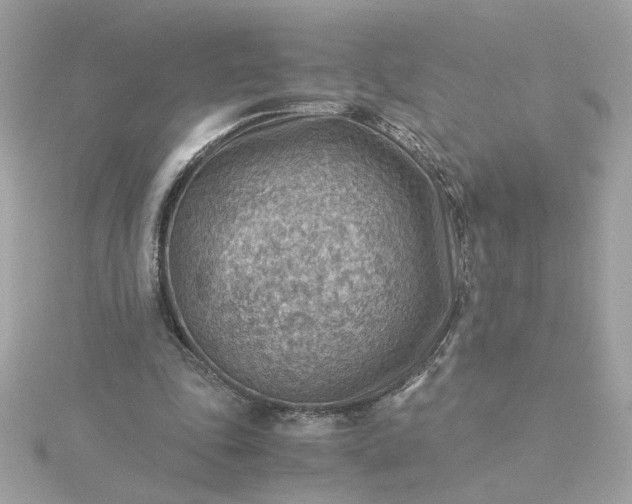 X0000116060343200912041858