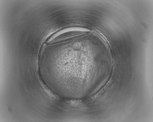 X0000116060345200912041858