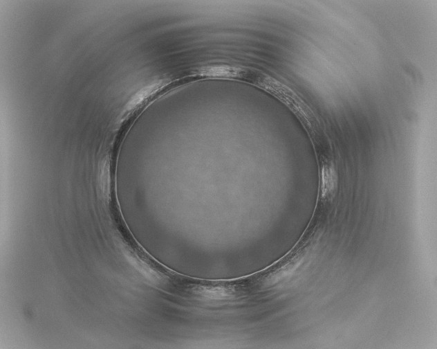 X0000116060349200912041858