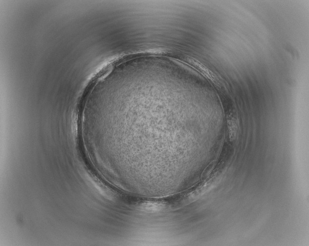 X0000116060350200912041858