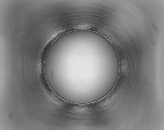 X0000116060351200912041858