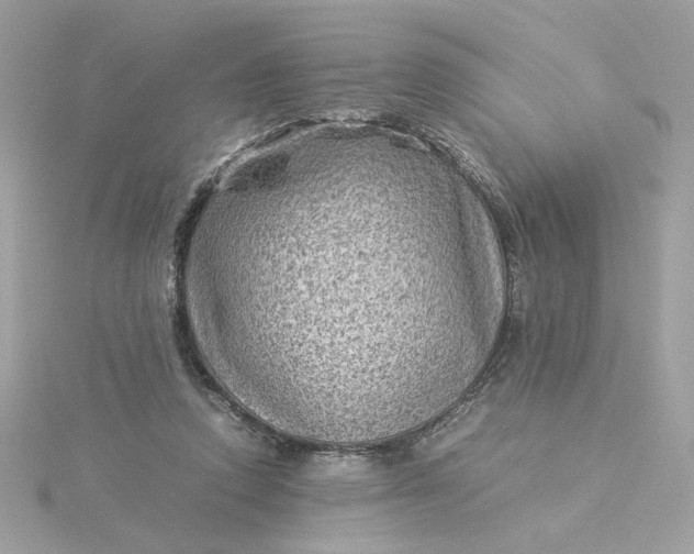 X0000116060354200912041858