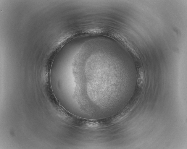 X0000116060355200912041858