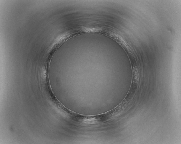 X0000116060357200912041858