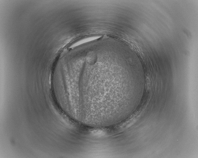 X0000116060358200912041858