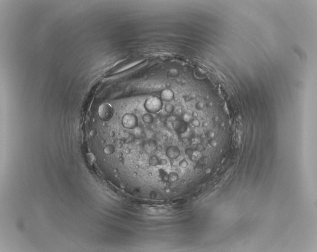 X0000116060359200912041858