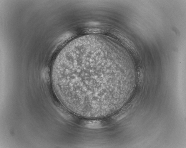 X0000116060361200912041859