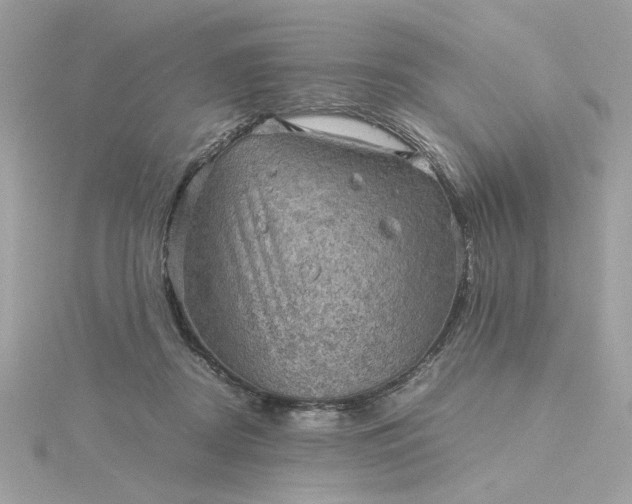 X0000116060362200912041859