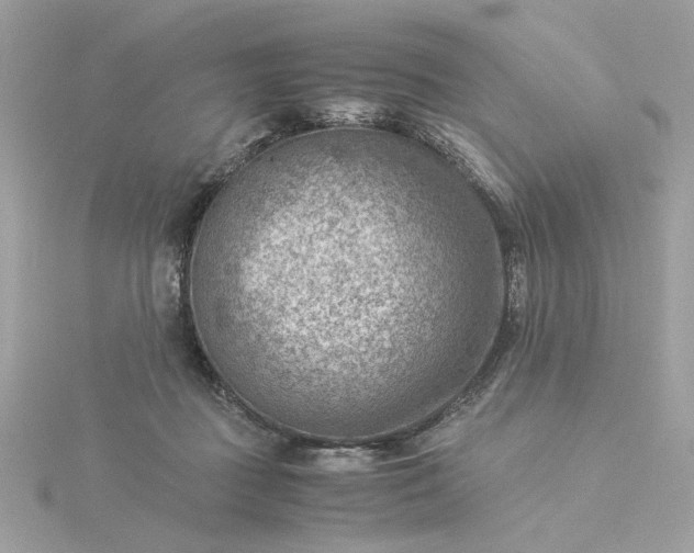 X0000116060363200912041859