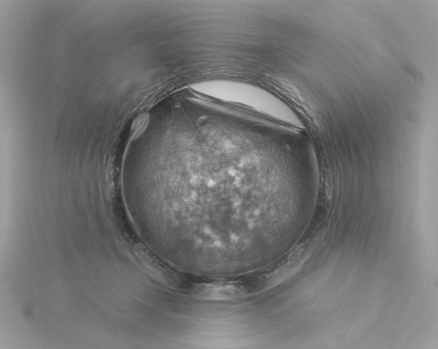 X0000116060366200912041859