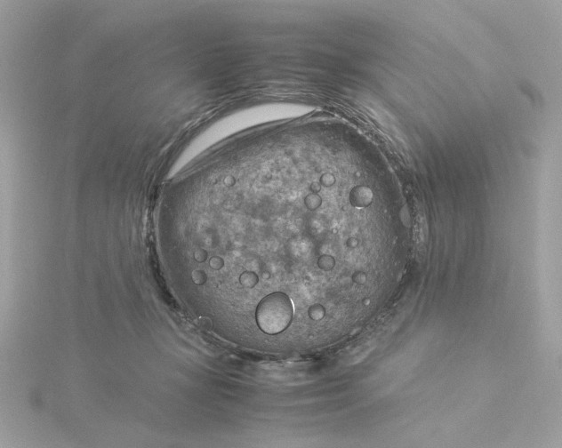 X0000116060367200912041859