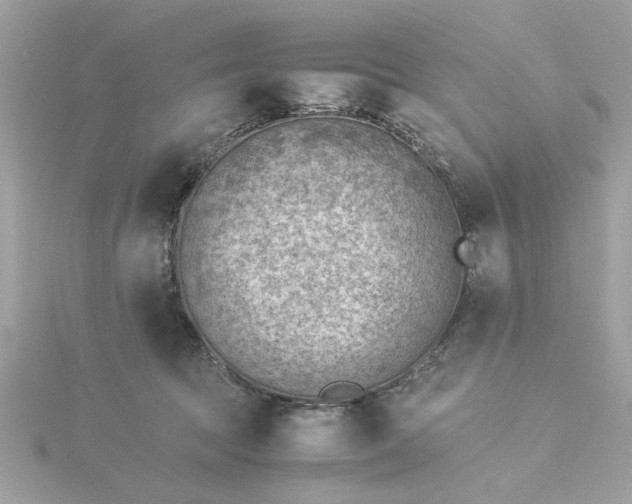 X0000116060369200912041859