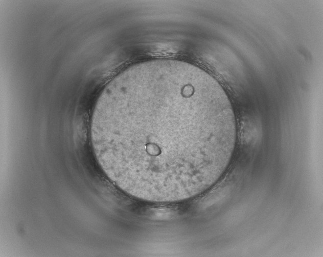 X0000116060370200912041859