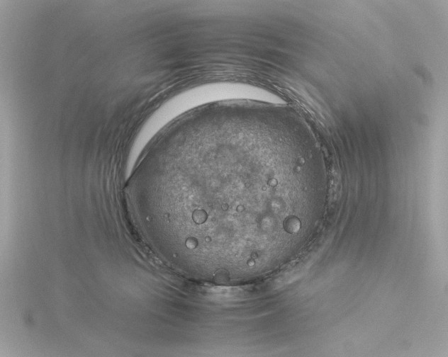 X0000116060371200912041859