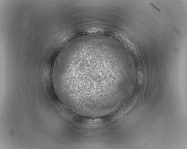 X0000116060375200912041859