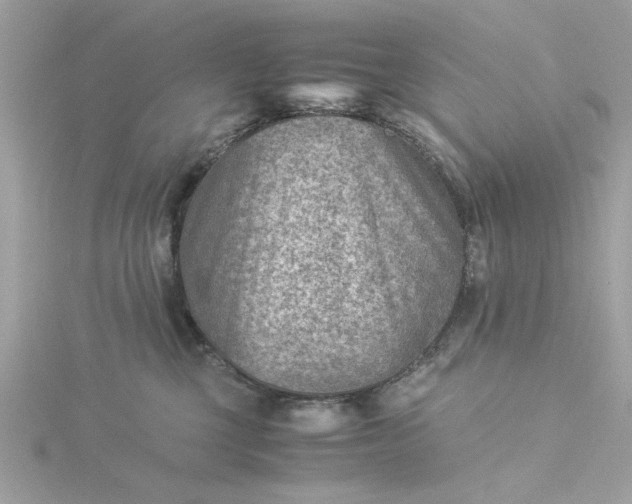 X0000116060377200912041859