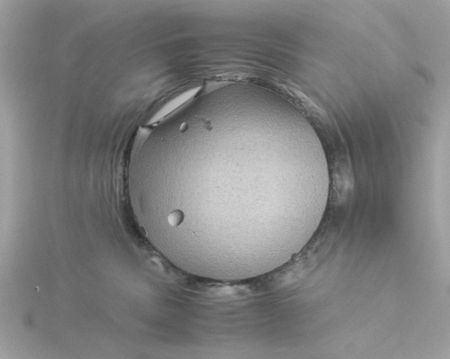 X0000116060379200912041859