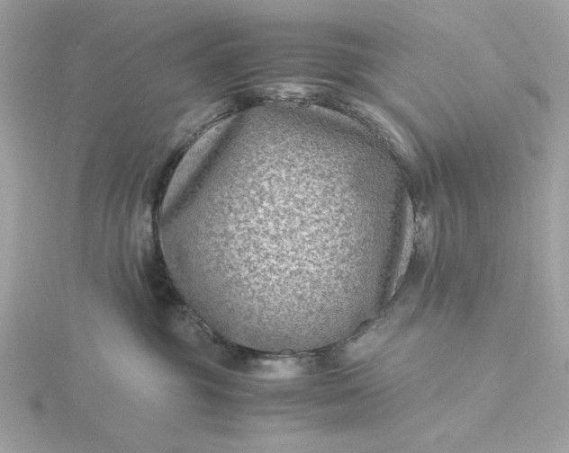 X0000116060381200912041859