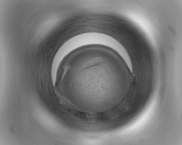 X0000116060382200912041859