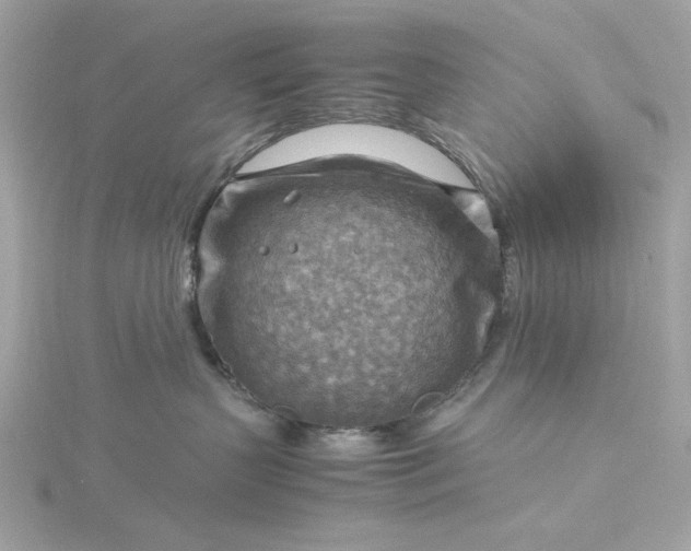 X0000116060383200912041859