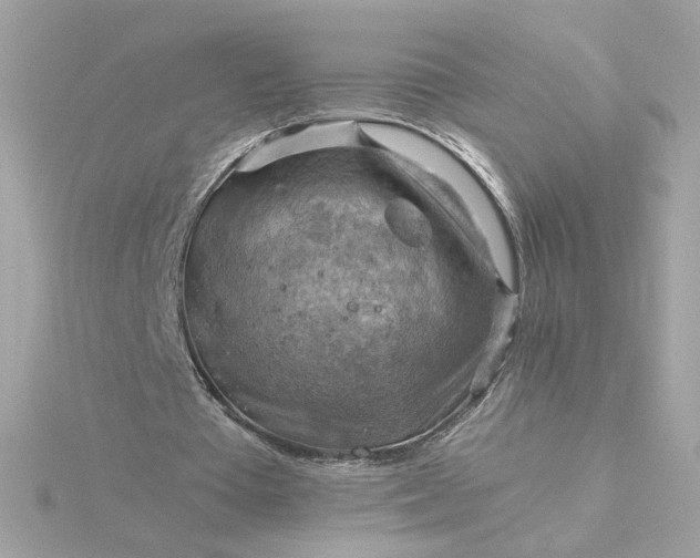 X0000116060385200912041858