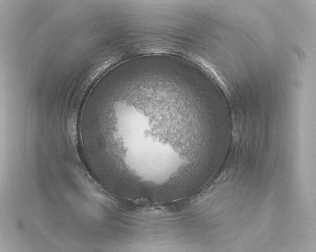 X0000116060386200912041858