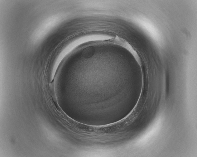 X0000116060387200912041858