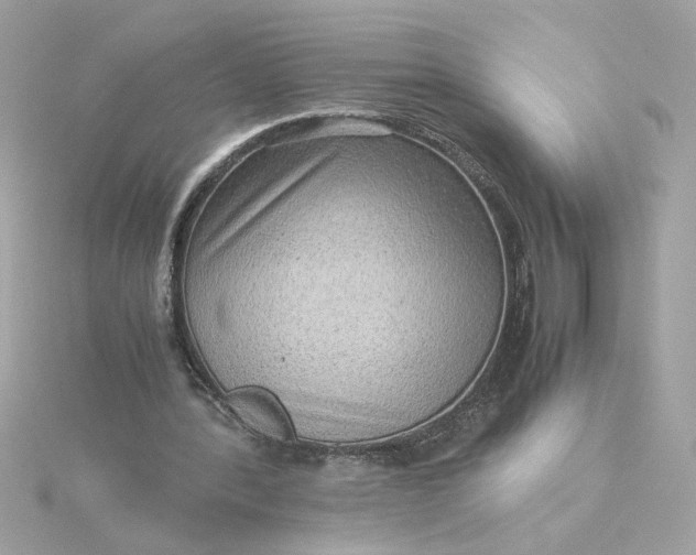 X0000116060388200912041858