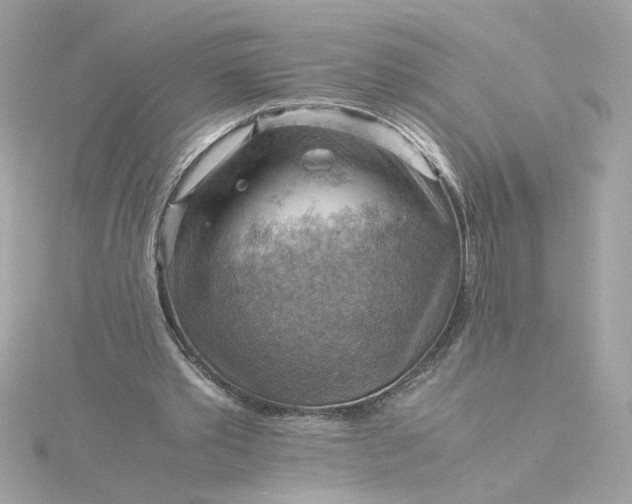 X0000116060389200912041858