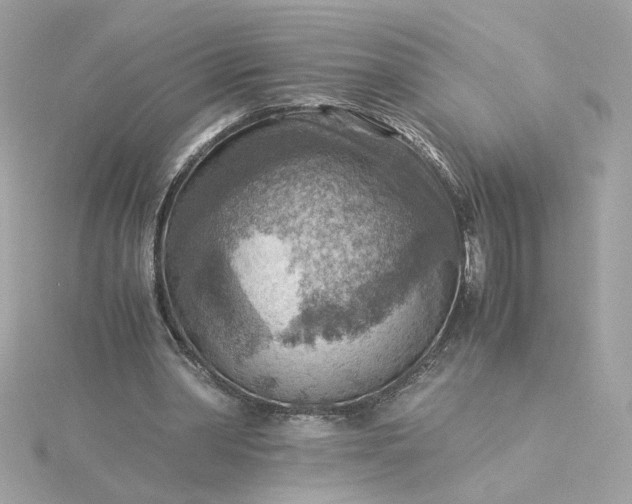 X0000116060390200912041858