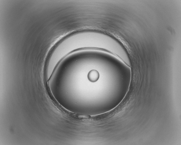 X0000116060391200912041858