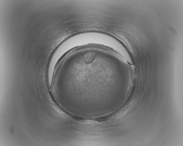 X0000116060393200912041858